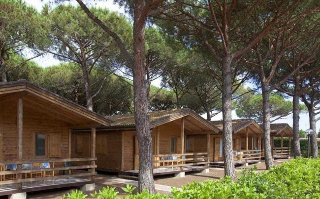 Bungalow di legno tra alberi alti e verdi.