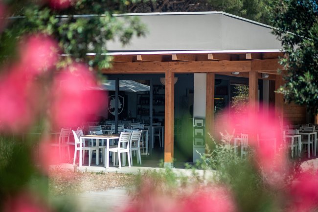 Struttura con tavoli e sedie bianche visti attraverso fiori rosa.