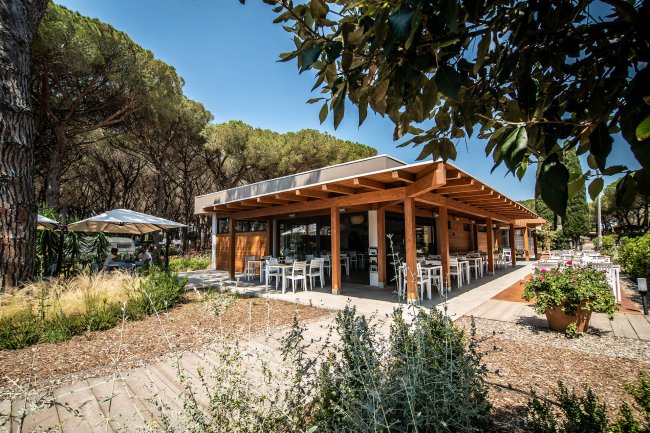 Un ristorante con terrazza in legno circondato da alberi e vegetazione.
