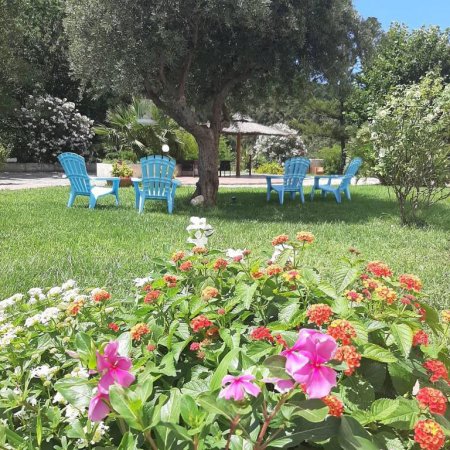 Giardino con erba verde, fiori colorati e sedie blu intorno a un albero.