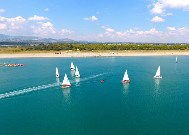 Barche a vela sul mare vicino a una spiaggia.