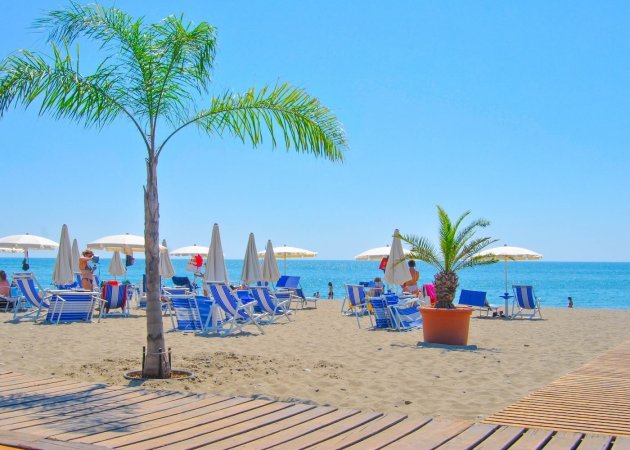 Spiaggia con lettini blu, ombrelloni e palme.