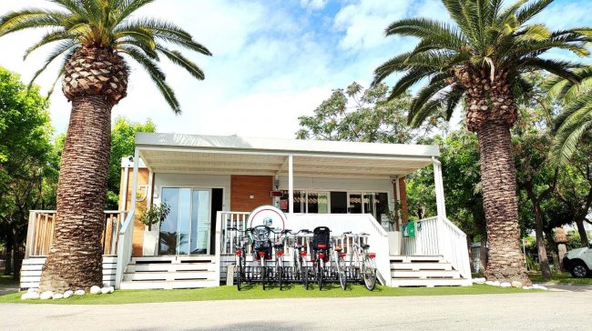 Veranda bianca con biciclette tra palme.