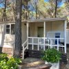 last minute Camping Village Riva Dei Greci - Metaponto - Basilicata