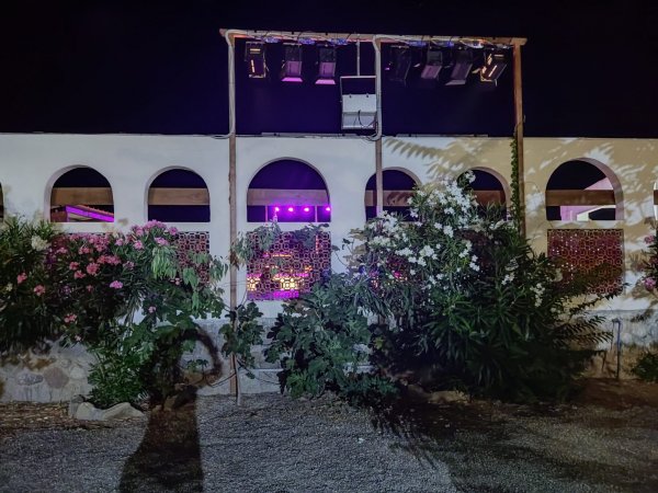 Edificio con luci viola e fiori in primo piano.