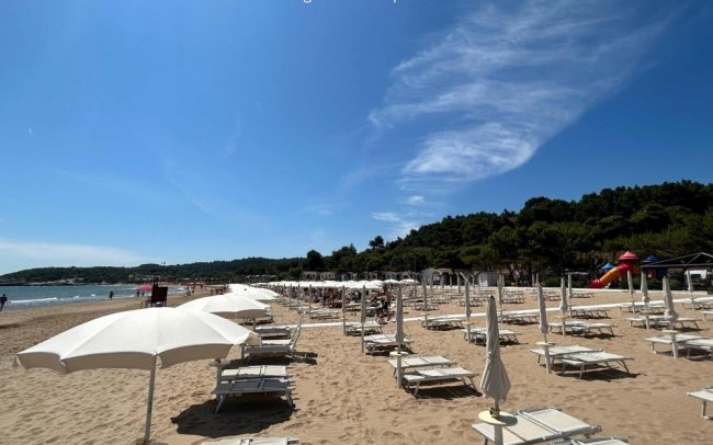 Spiaggia sabbiosa con file di lettini e ombrelloni bianchi, cielo azzurro, vegetazione sullo sfondo.